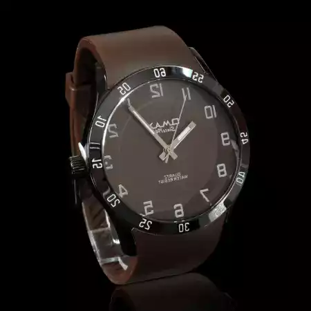 watch in section story